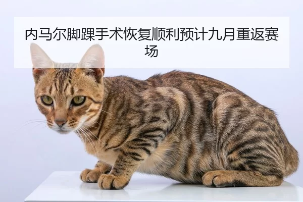 内马尔脚踝手术恢复顺利预计九月重返赛场