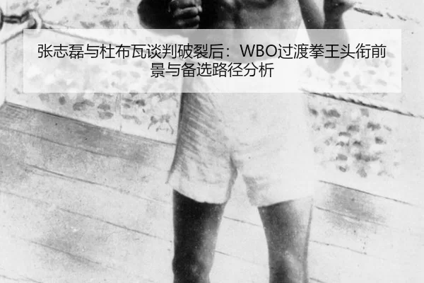 zhang-zhi-lei-yu-du-bu-wa-tan-pan-po-lie-hou-guo-du-quan-wang-tou-xian-qian-jing-yu-bei-xuan-lu-jing-fen-xi-2-778.jpg